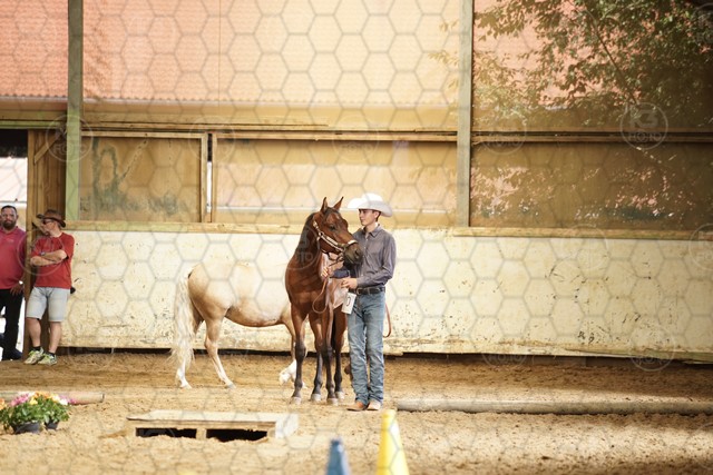 sK3F07178.JPG